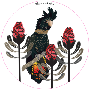 Unpackaged Nature Magnet - Black Cockatoo