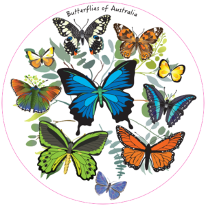 Unpackaged Nature Magnet - Butterflies of Australia