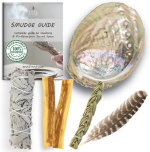Smudge Healers Kit w/Abalone Shell - White Sage
