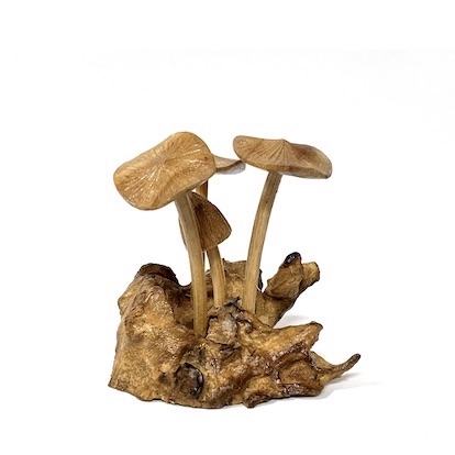 Wood Toadstools