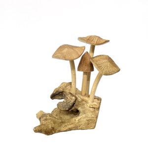 Wood Toadstools