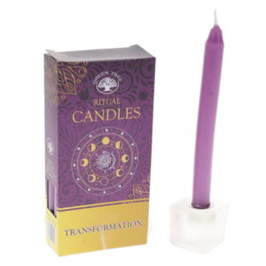 Green Tree Ritual Candles - Transformation 10pk
